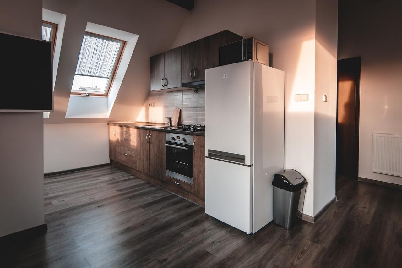 Villa U Areny 俄斯特拉发 外观 照片
